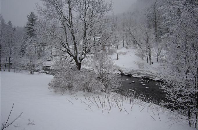 Inn At Ellis River Jackson Luaran gambar